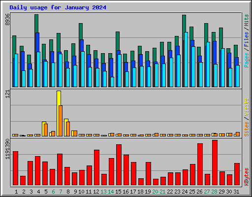 Daily usage for January 2024