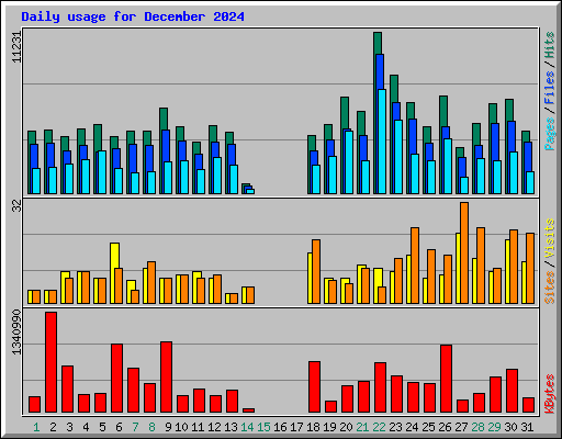 Daily usage for December 2024