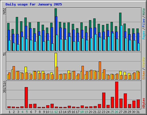 Daily usage for January 2025