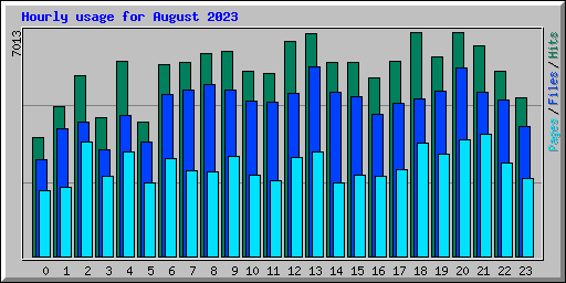 Hourly usage for August 2023