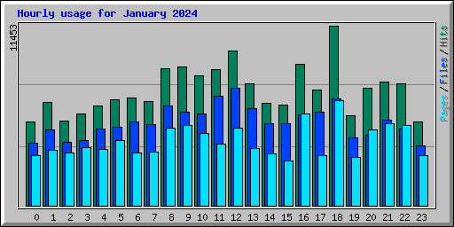 Hourly usage for January 2024