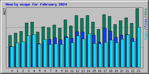 Hourly usage for February 2024