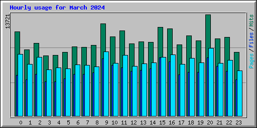 Hourly usage for March 2024