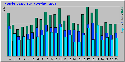 Hourly usage for November 2024
