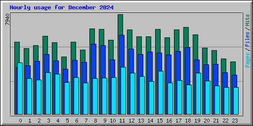Hourly usage for December 2024