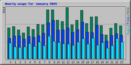 Hourly usage for January 2025