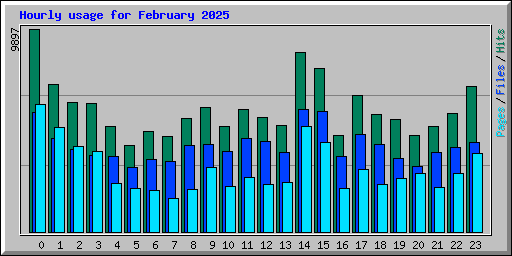 Hourly usage for February 2025