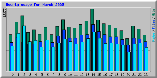 Hourly usage for March 2025