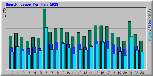 Hourly usage for May 2025