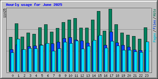 Hourly usage for June 2025