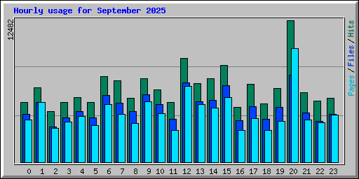 Hourly usage for September 2025