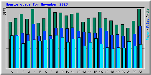 Hourly usage for November 2025