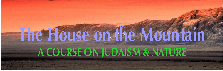 Judaism & Nature